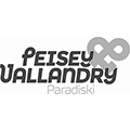 Transfert Taxi Lyon Geneve Peisey Vallandry